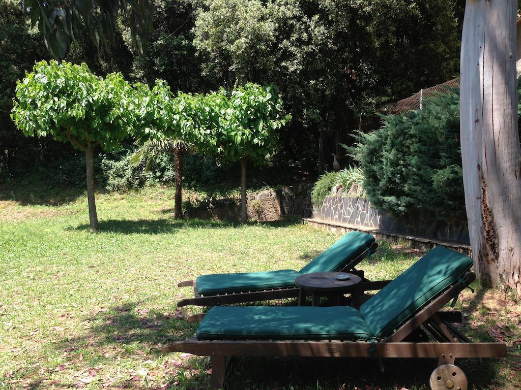 Hostal L'Ou De Reig Montseny Zewnętrze zdjęcie