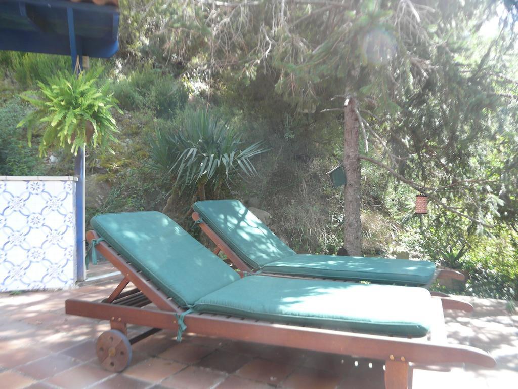 Hostal L'Ou De Reig Montseny Zewnętrze zdjęcie